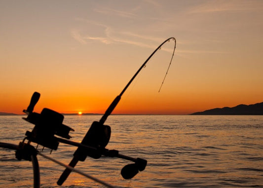 Fishing Techniques for Lakes, Streams, and Oceans