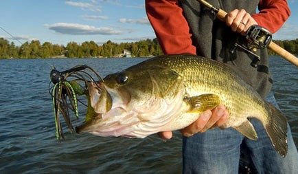 Beginner’s Guide to Fishing | Essential Tips, Best Fishing Spots & Must-Have Gear