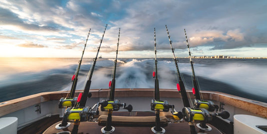 How to Choose the Right Fishing Rod for Every Style | TheOnlineFishingStore.com