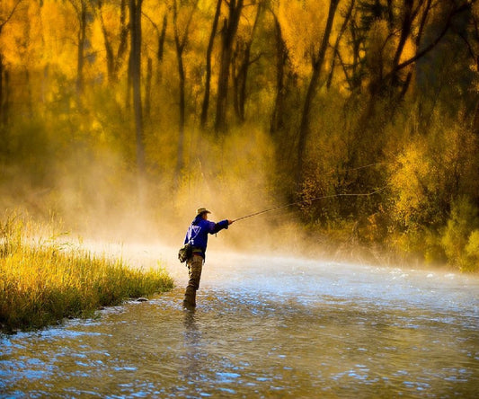 Fly fishing pic