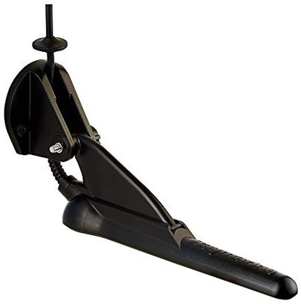 Raymarine CPT-100DVS Transom Mount Transducer