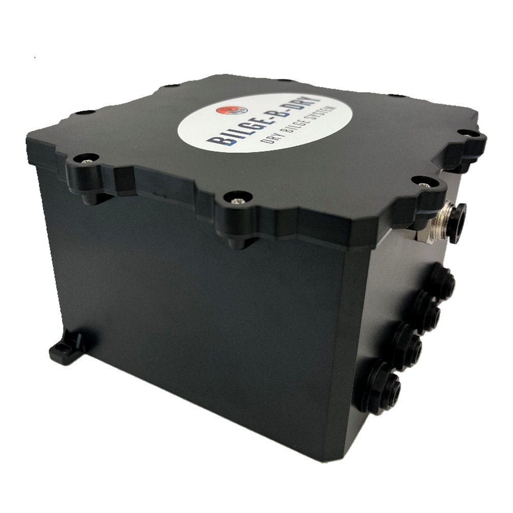 Bilde-B-Dry Quad Bilge Pump 12VDC by BILGE-B-DRY