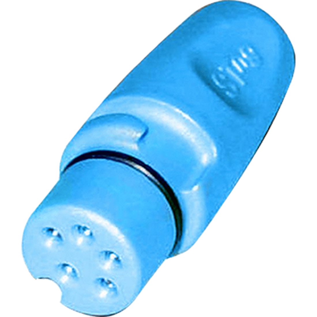 Raymarine SeaTalkng Backbone Terminator