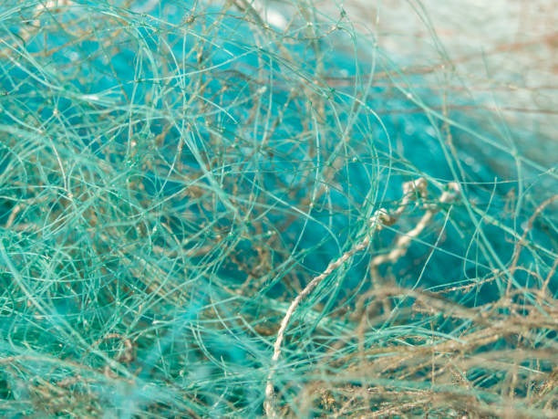 Fishing Line
