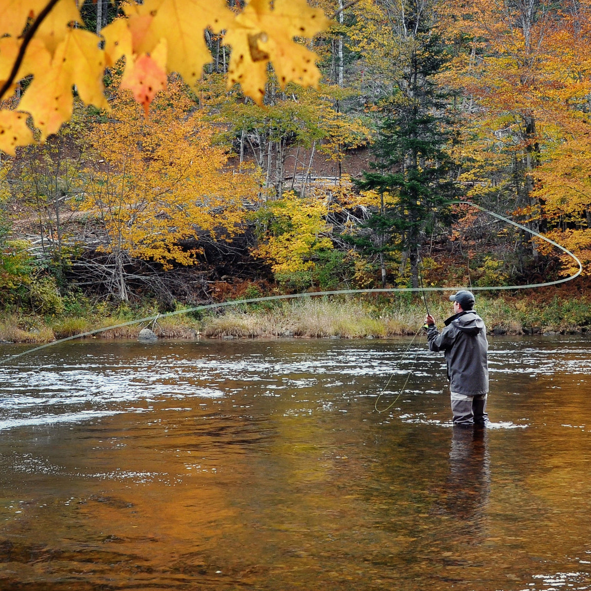 Orange Asher Midge Trout Dry Fly - 12 Flies Size 16