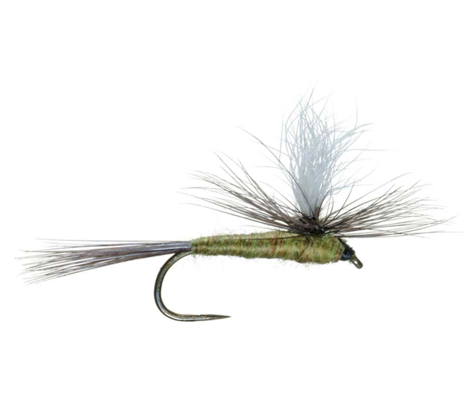 Barbless Parachute Blue Winged Olive BWO Dry Fly - 6 Flies Size 14