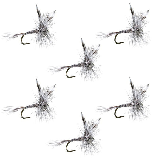 Mosquito Classic Trout Dry Fly - Set of 6 Flies Size 20