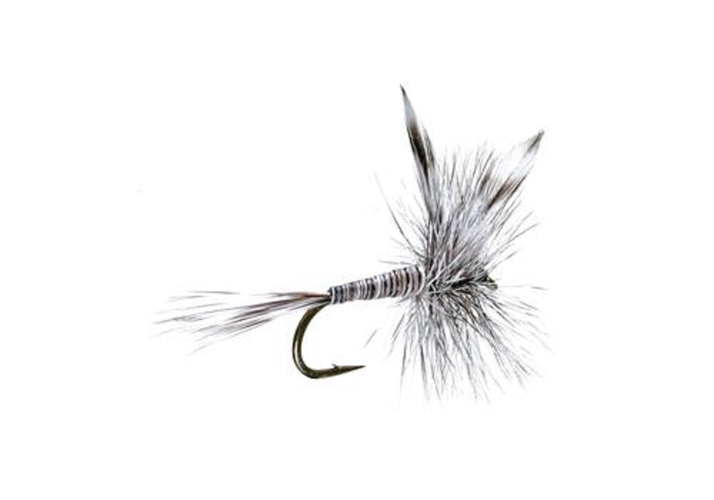 Mosquito Classic Trout Dry Fly - Set of 6 Flies Size 20