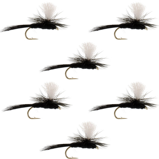 Parachute Black Gnat Classic Dry Fly - 6 Flies Size 12