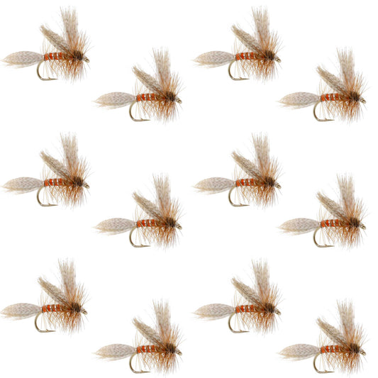 Queen Of The Waters Classic Dry Fly - 12 Flies Size 14