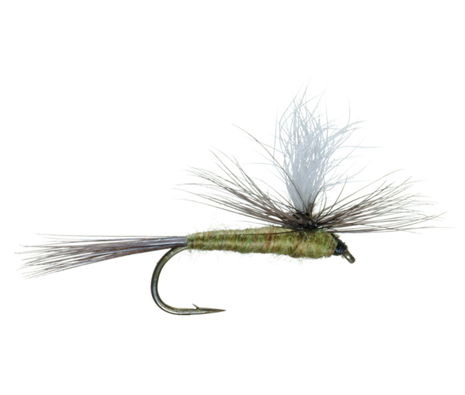 Blue Wing Olive BWO Parachute Dry Fly - 12 Flies Size 20