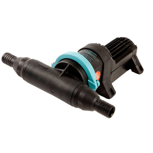 Whale Gulper Grouper Fishbox Evacuation Pump 12V