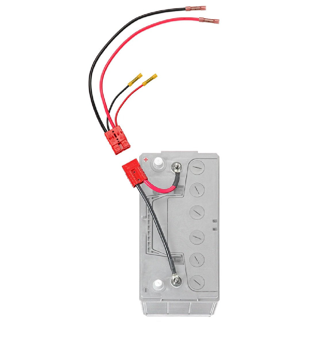 Connect-Ease 12V Trolling Motor Connection w/Charging