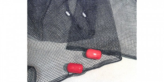 Plano Frabill Fishing Minnow Seine Net 0.25 in. x 4 x 12 ft. Black Mesh