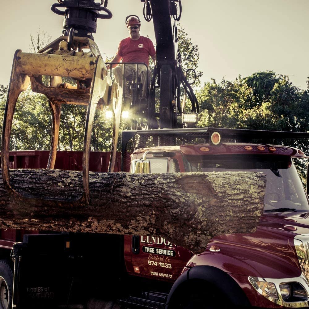 Golight 79014GT Radioray Led Wireless Handheld Remote Magnetic Mount Shoe-White